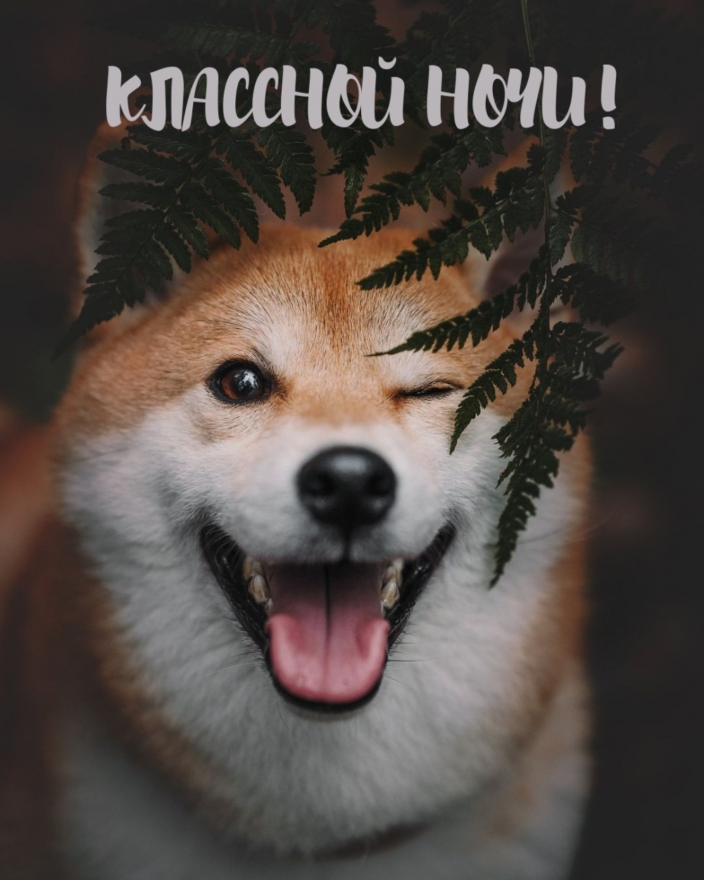 КЛАССНОЙ НОЧИ!