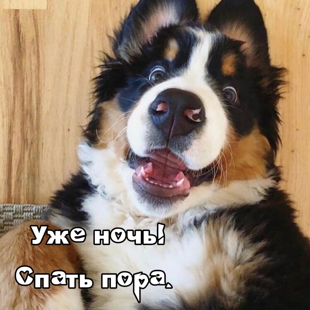 Уже ночь! Спать пора.