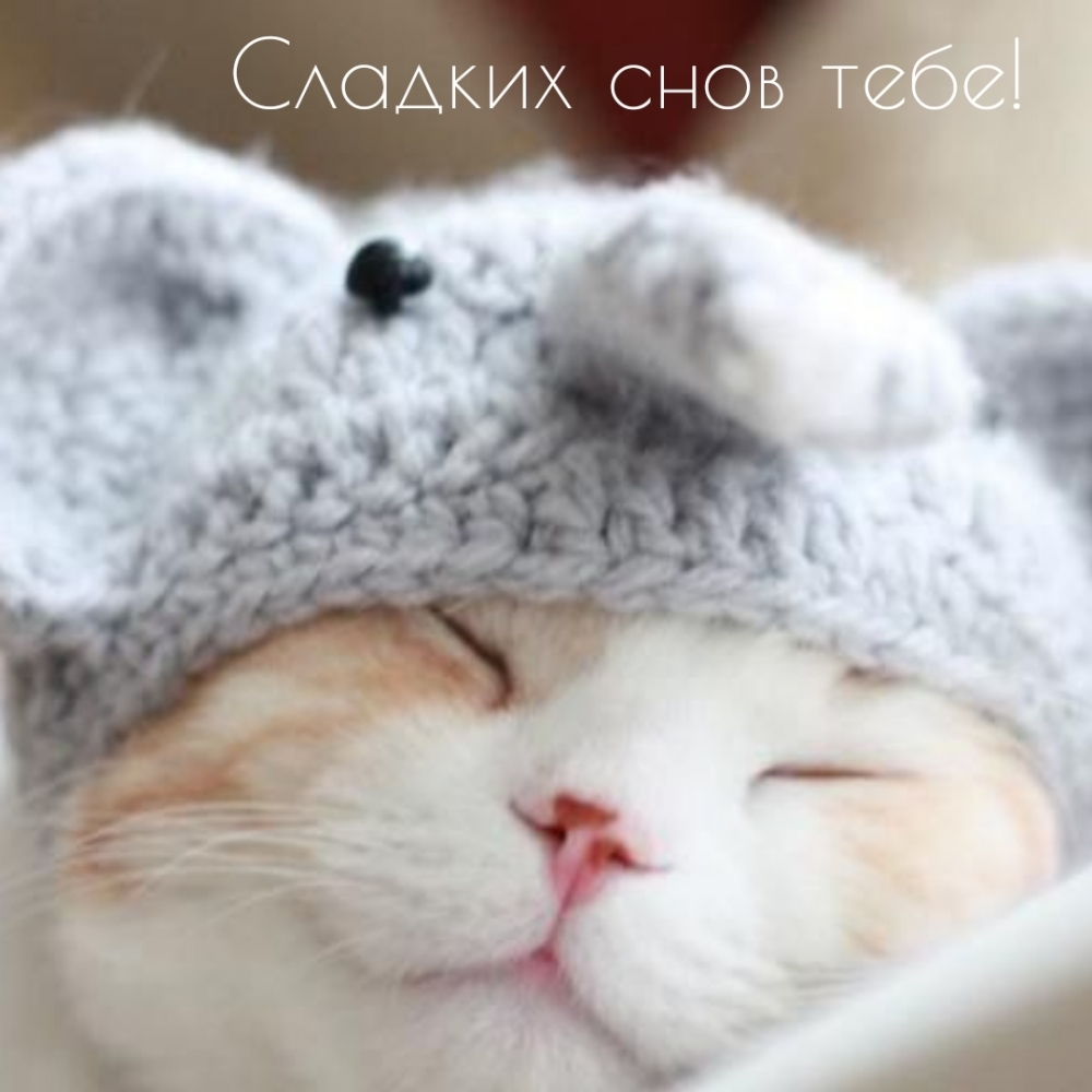 Сладких снов тебе!
