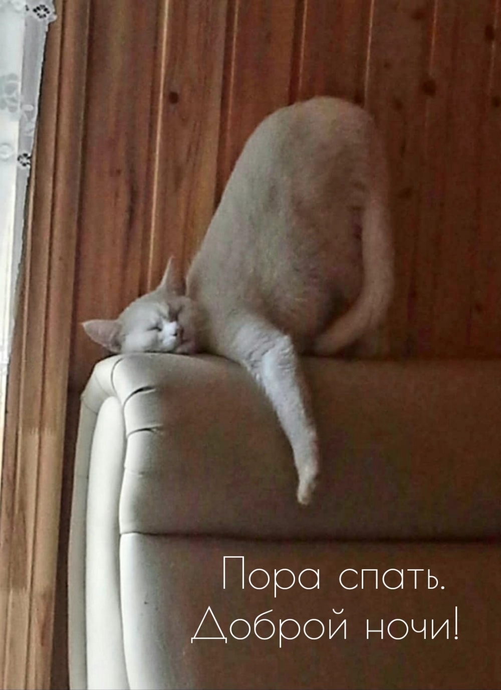 Пора спать. Доброй ночи!