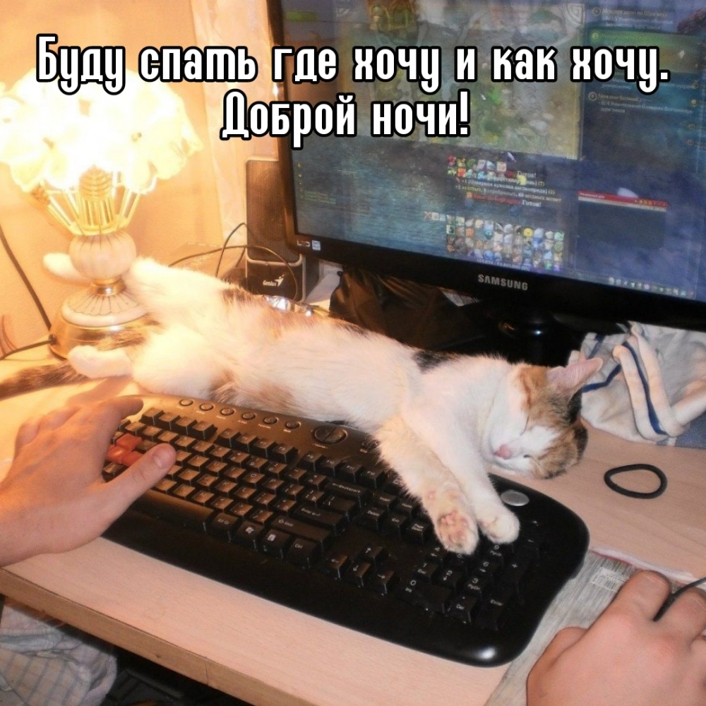Буду спать где хочу и как хочу. Доброй ночи!
