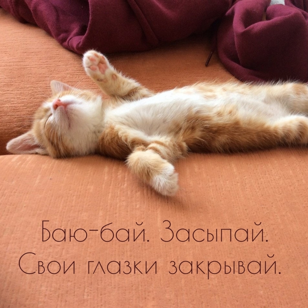 Баю-бай. Засыпай. Свои глазки закрывай.