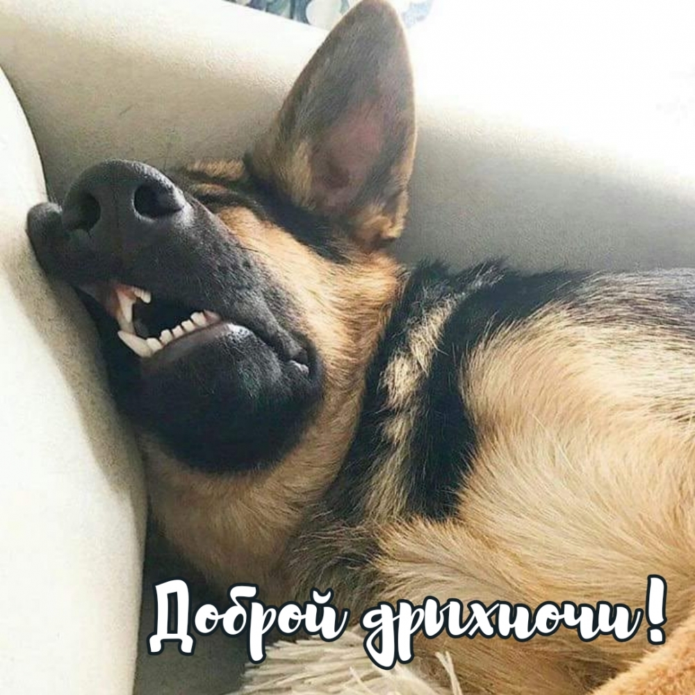 Доброй дрыхночи!
