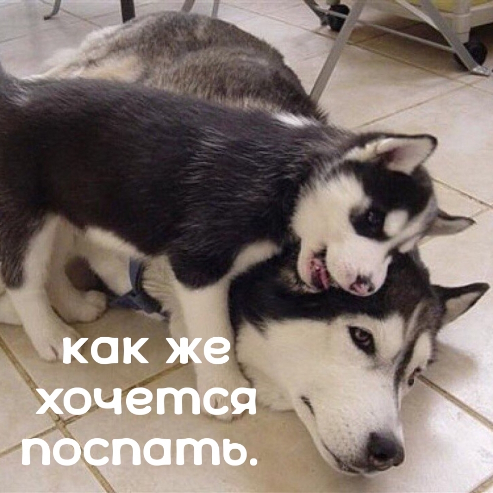 Как же хочется поспать.