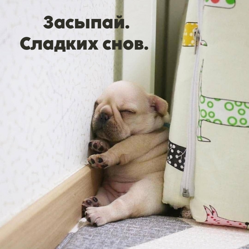 Засыпай. Сладких снов.