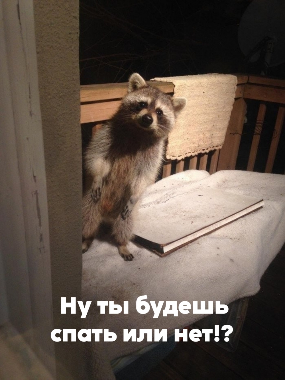 Ну ты будешь спать или нет!?