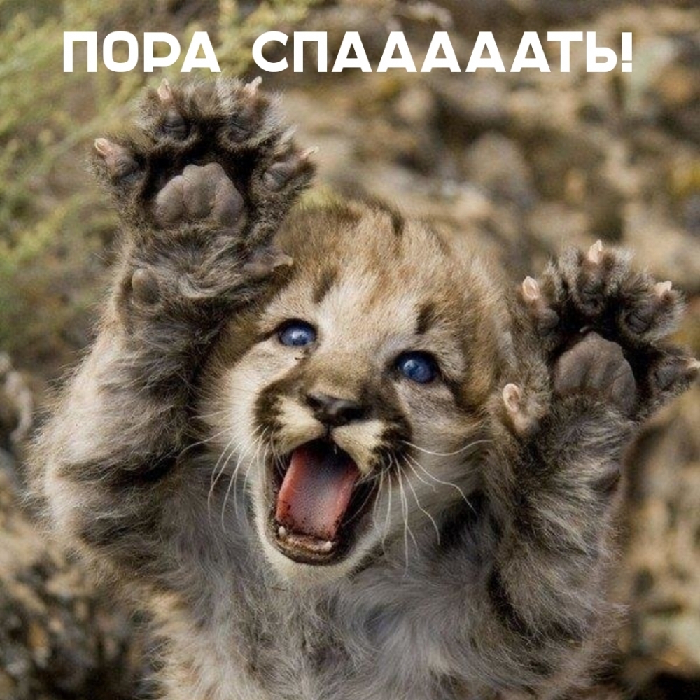 Пора спааааать!