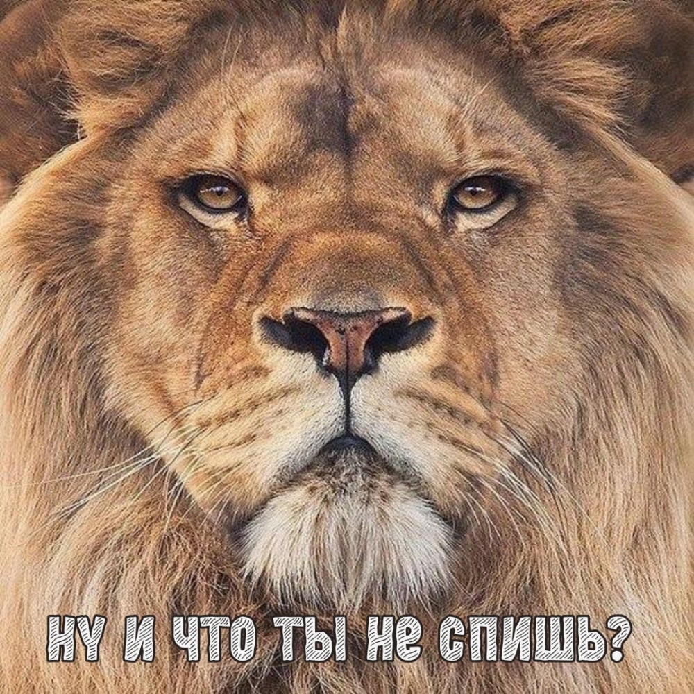 Ну и что ты не спишь?