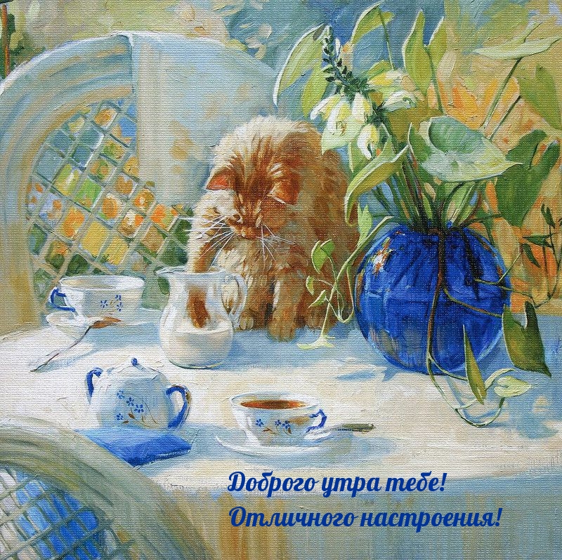 Доброго утра тебе! Отличного настроения!