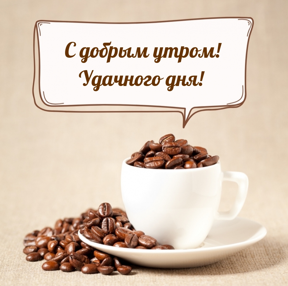С добрым утром! Удачного дня!