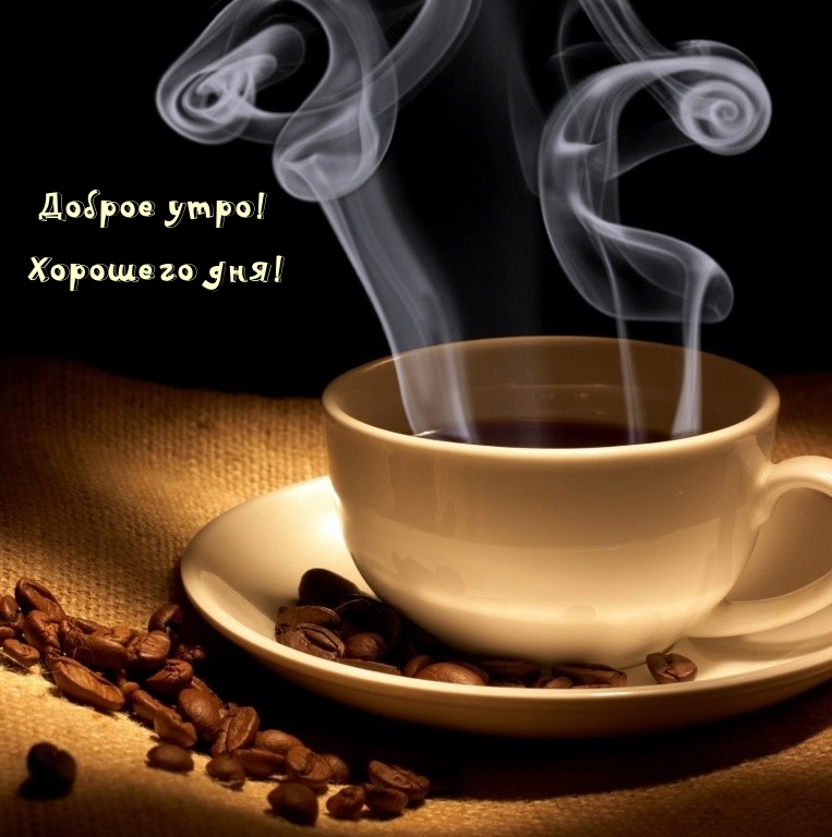 Доброе утро! Хорошего дня!