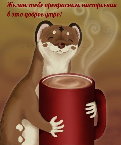 Желаю тебе прекрасного настроения в это доброе утро!