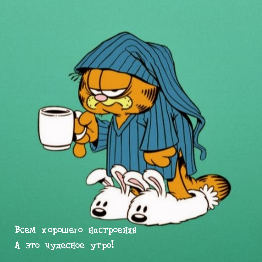 Всем хорошего настроения А это чудесное утро!