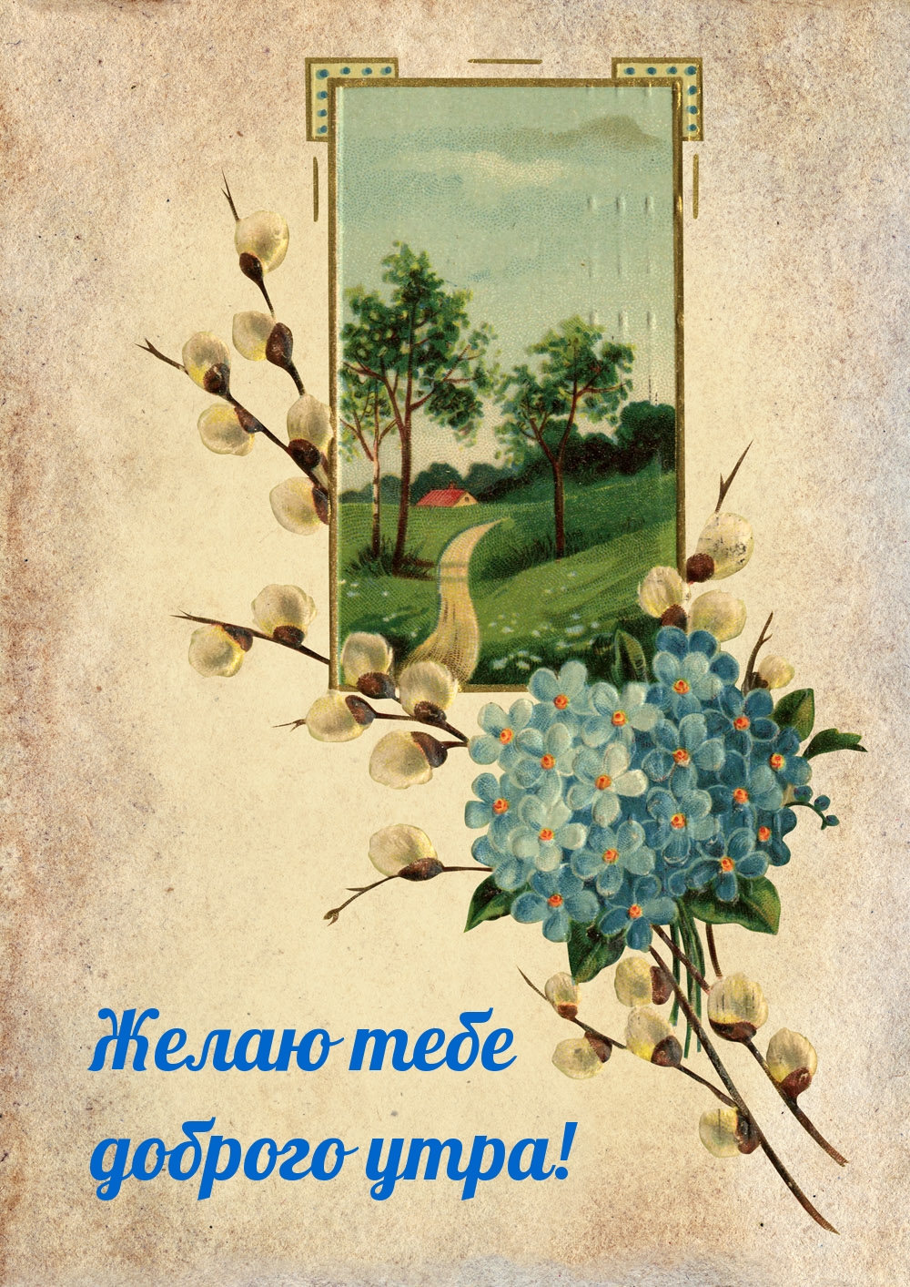 Желаю тебе доброго утра!