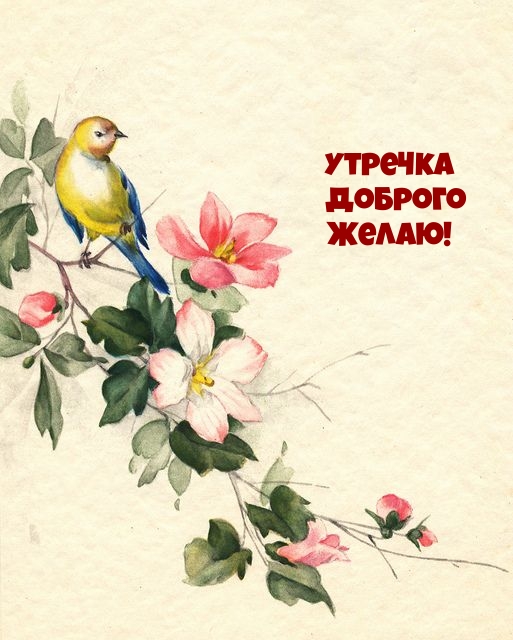 Утречка доброго желаю!