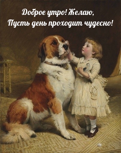 Доброе утро! Желаю, Пусть день проходит чудесно!