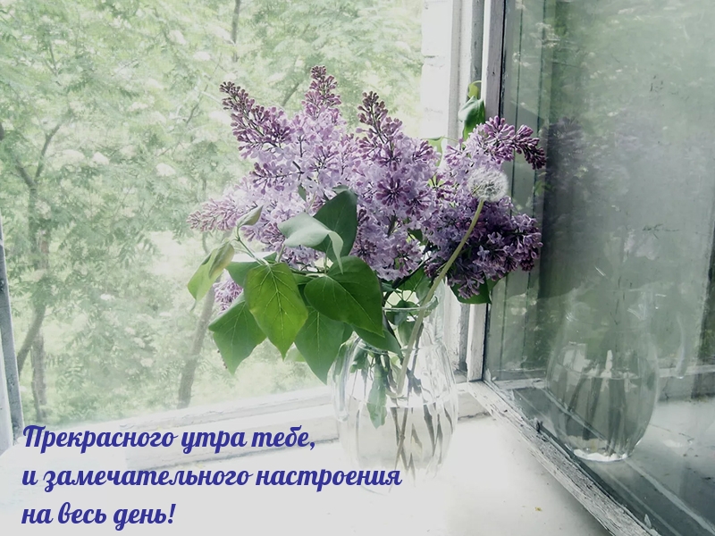 Прекрасного утра тебе, и замечательного настроения!