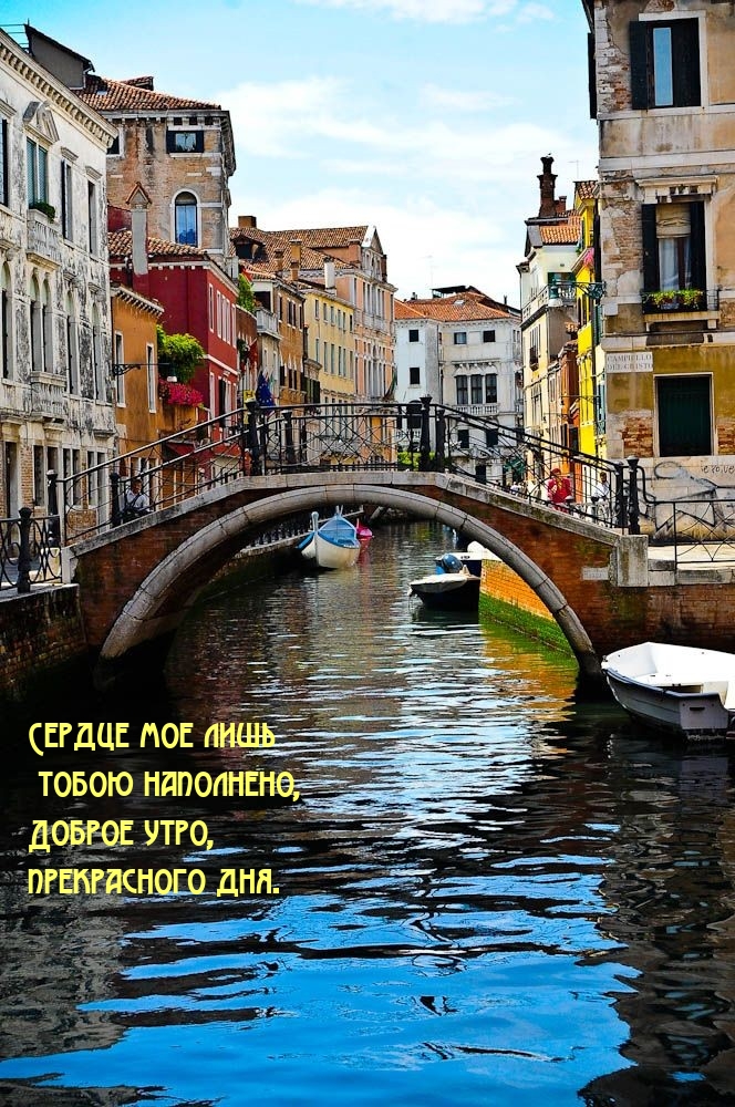 Доброе утро, прекрасного дня.