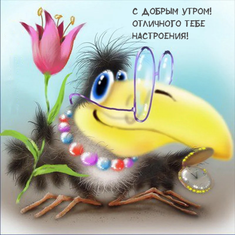 С добрым утром! Отличного тебе настроения!