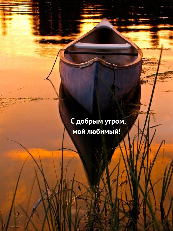 С добрым утром, мой любимый!