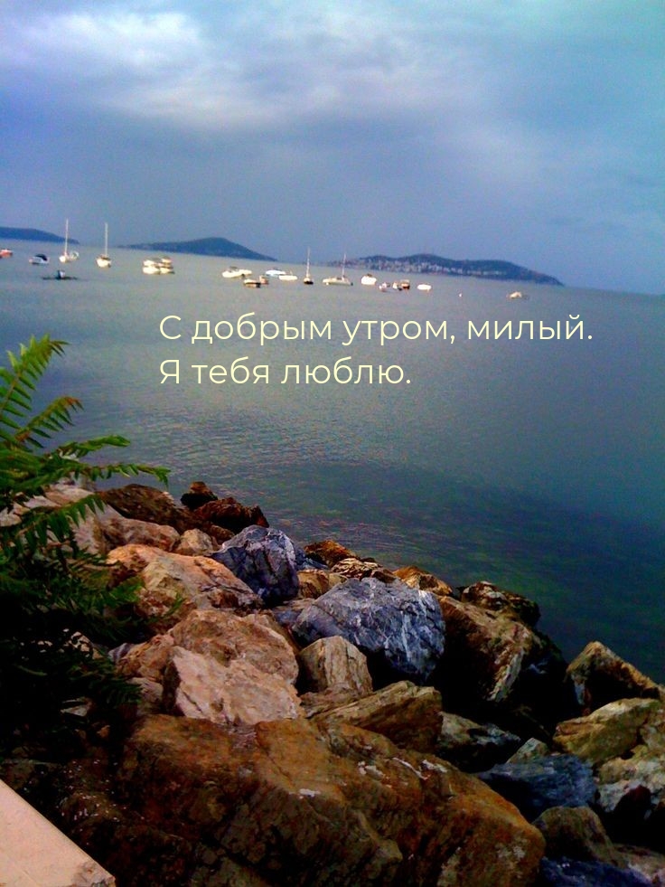 С добрым утром, милый. Я тебя люблю.