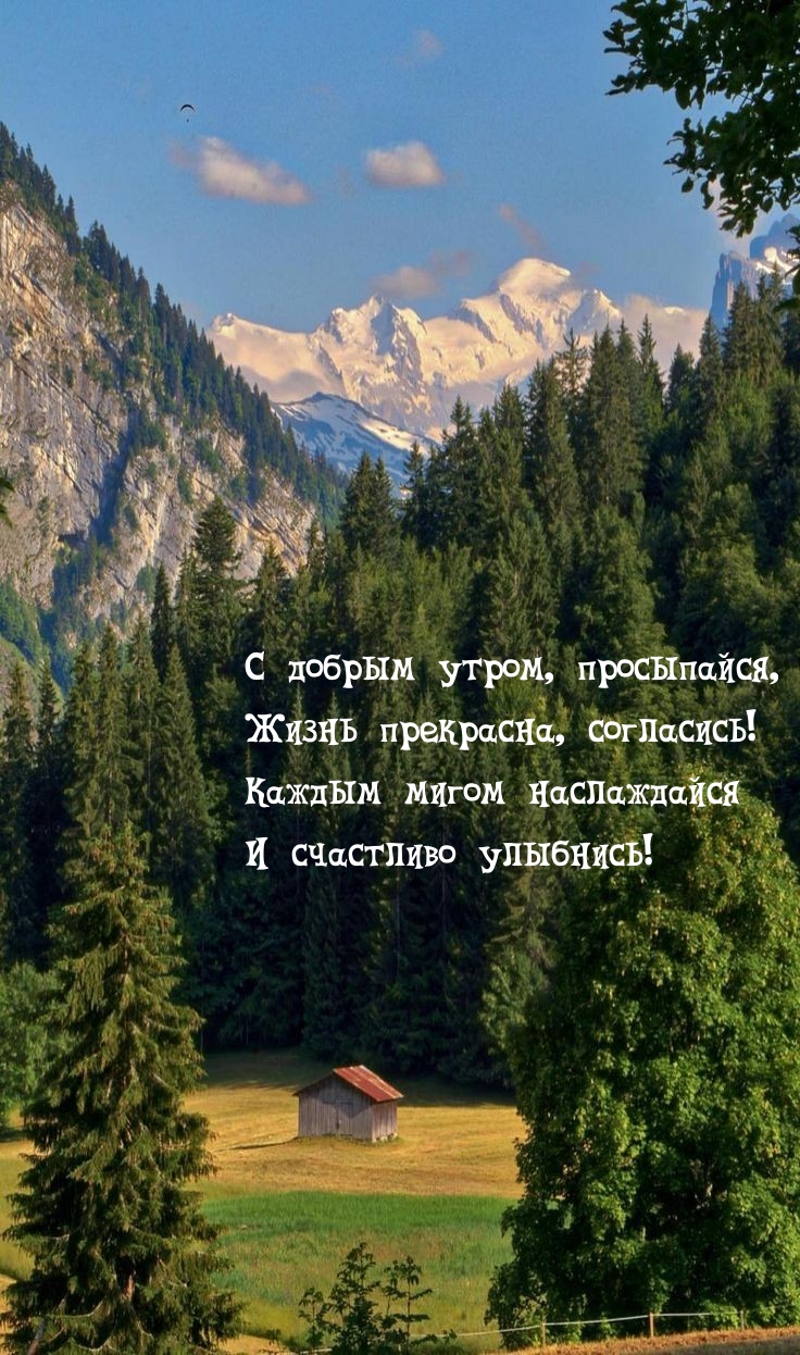 С добрым утром, просыпайся, жизнь прекрасна, согласись!