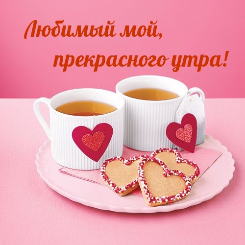 Любимый мой, прекрасного утра!