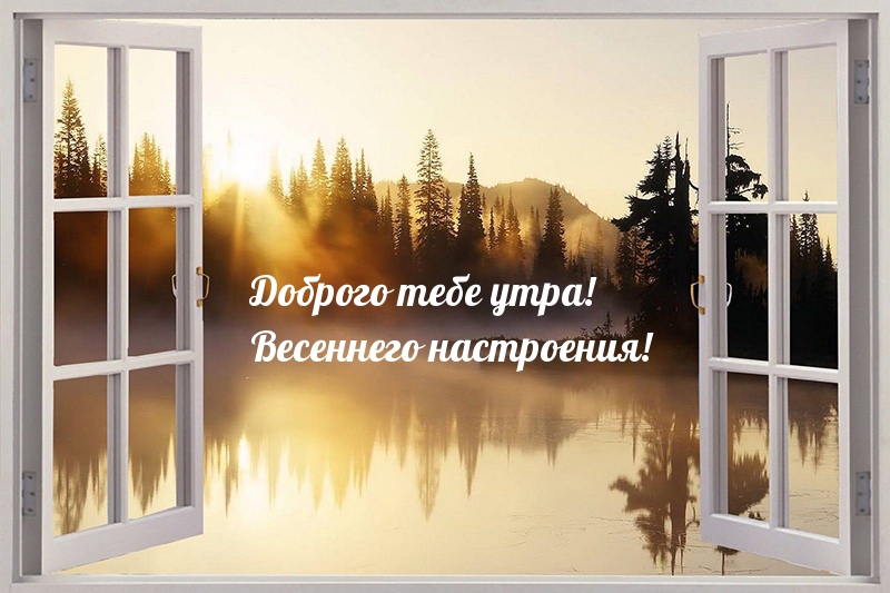 Доброго тебе утра! Весеннего настроения!