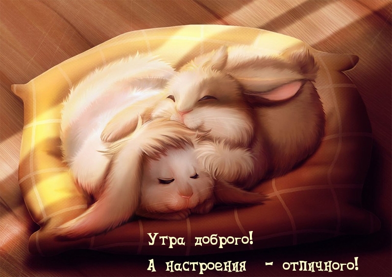 Утра доброго! А настроения — отличного!