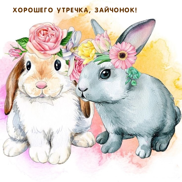 Хорошего утречка, зайчонок!