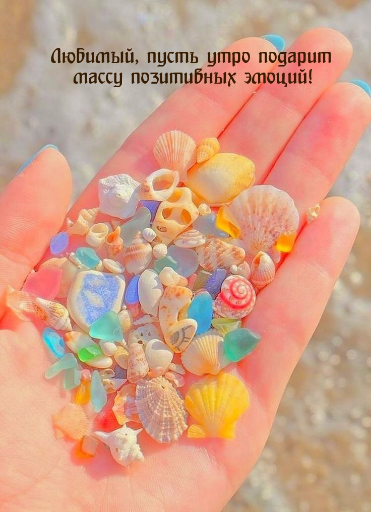 Любимый, пусть утро подарит массу позитивных эмоций!