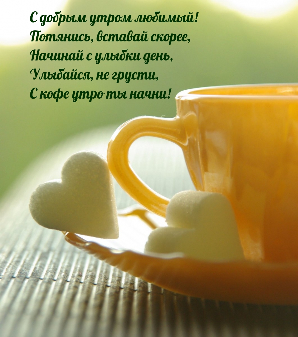 С добрым утром любимый! Потянись, вставай скорее