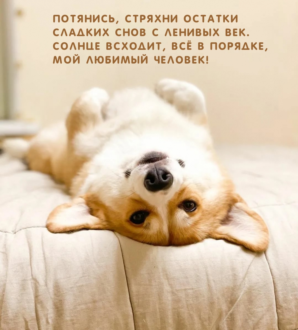 Потянись, стряхни остатки сладких снов с ленивых век.