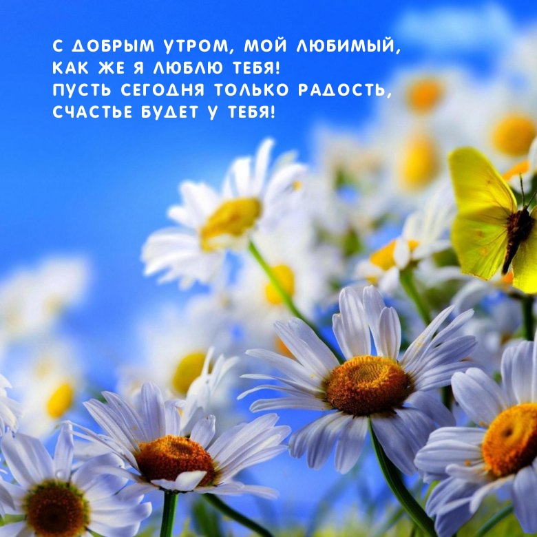 С добрым утром, мой любимый, Как же я люблю тебя!