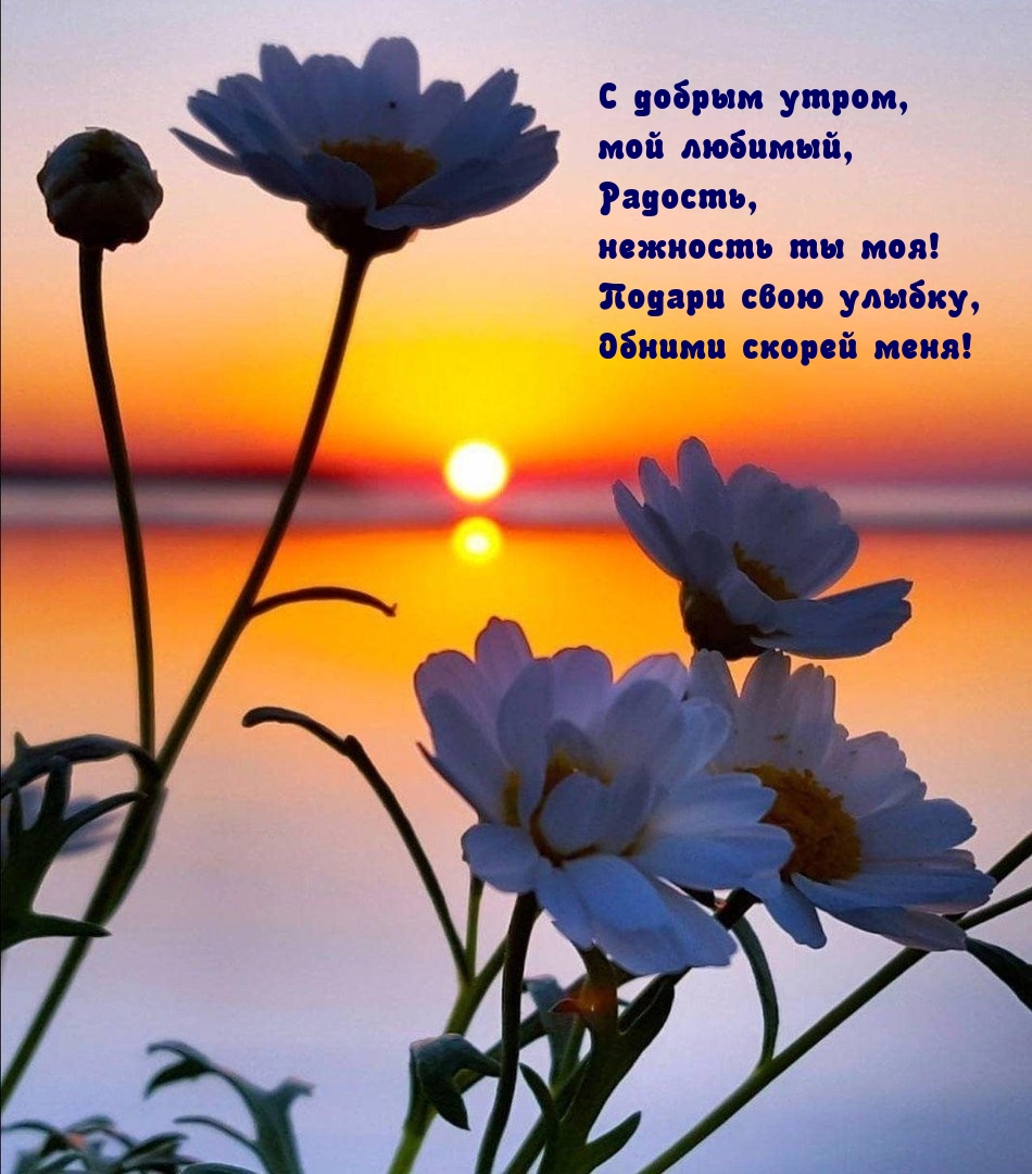 С добрым утром, мой любимый