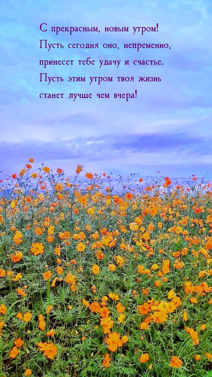 С прекрасным, новым утром!