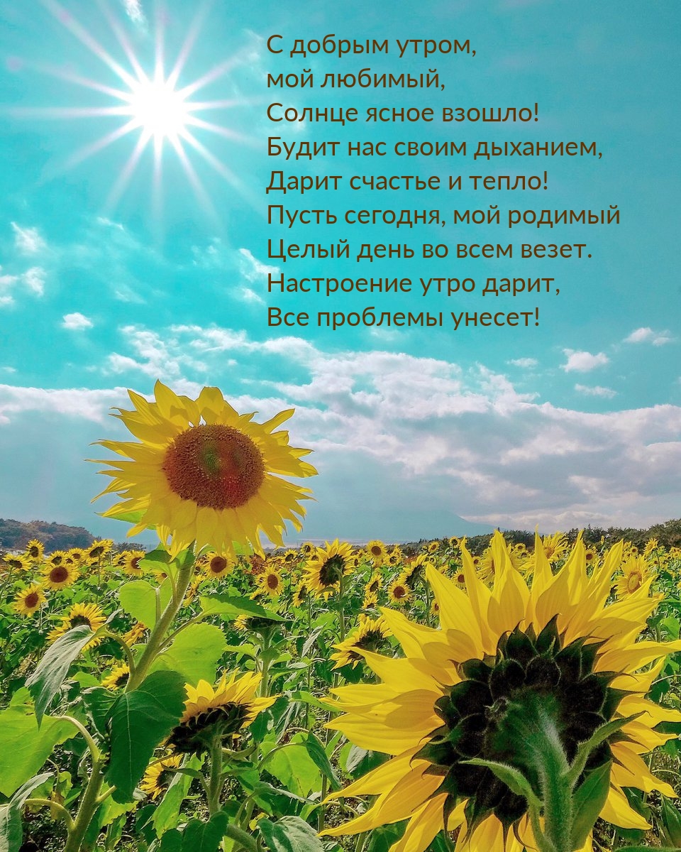С добрым утром, мой любимый