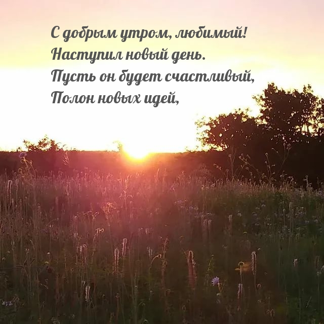 С добрым утром, любимый! Наступил новый день.