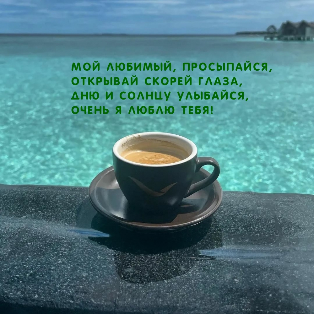 Мой любимый, просыпайся, открывай скорей глаза