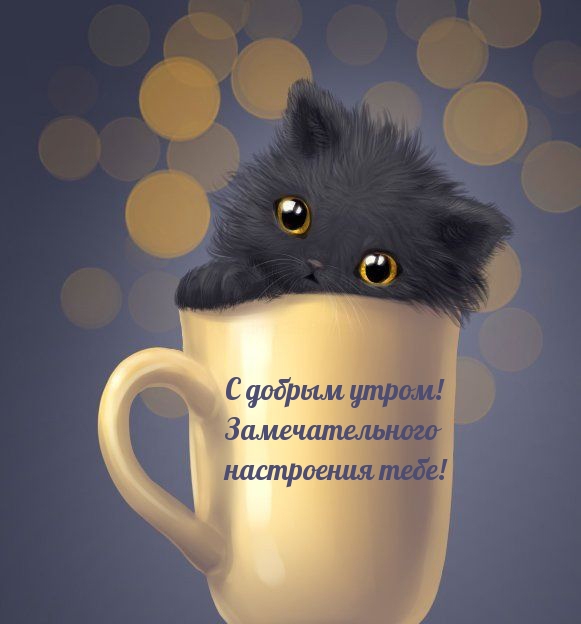 С добрым утром! Замечательного настроения тебе!