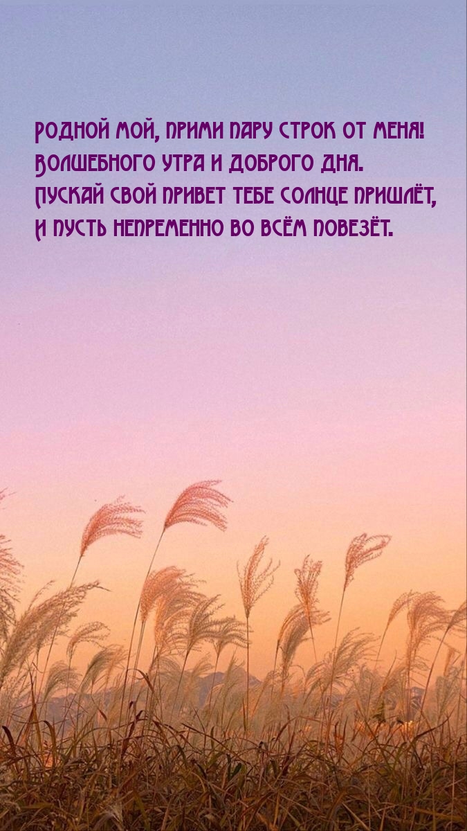 Родной мой, прими пару строк от меня!