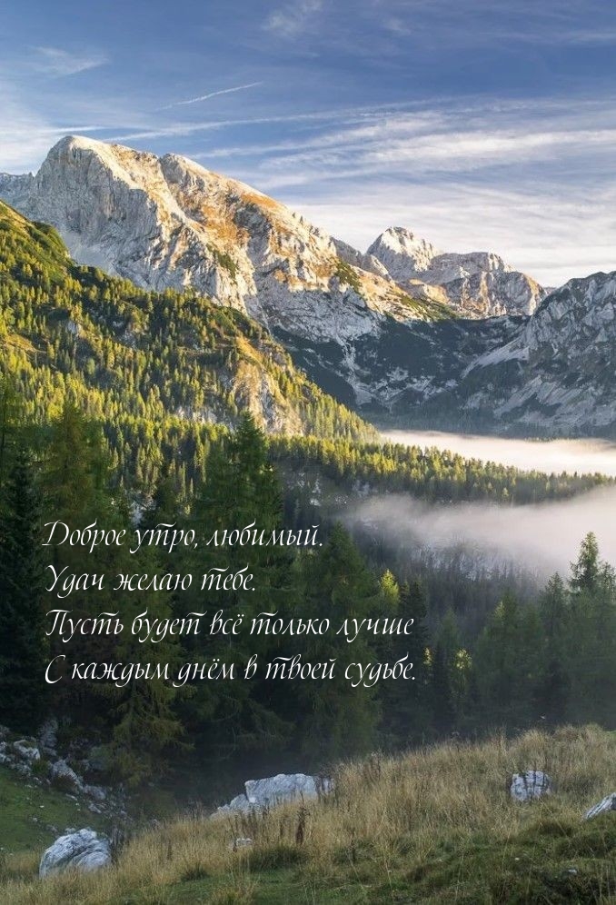 Доброе утро, любимый. Удач желаю тебе.