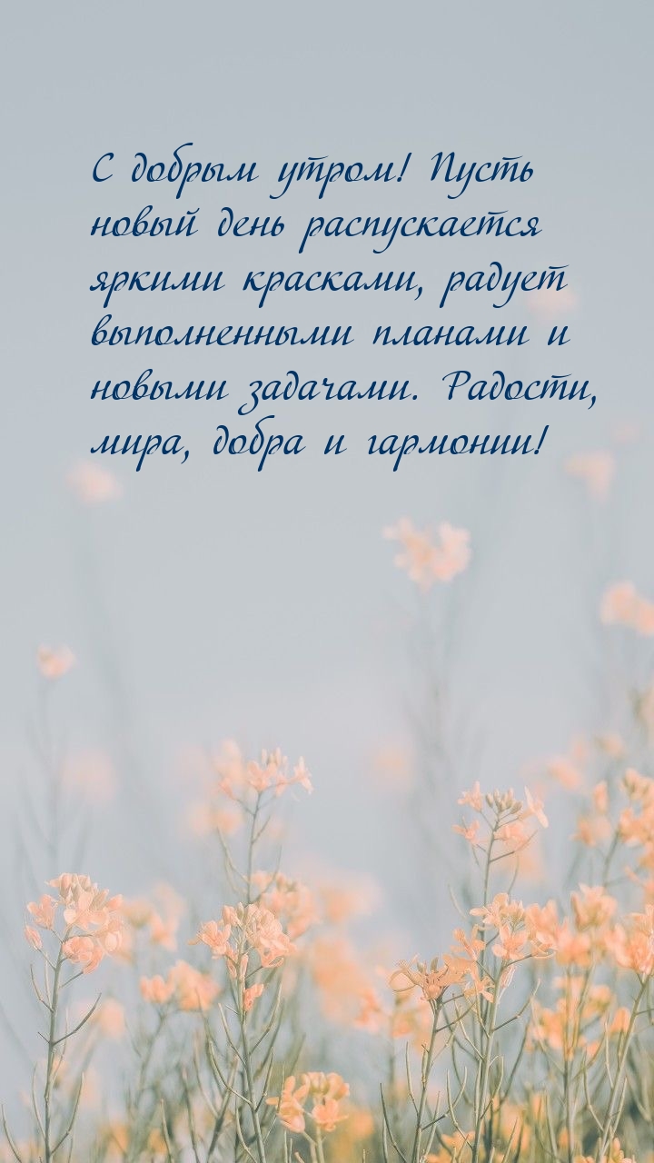 С добрым утром! Пусть новый день распускается яркими красками