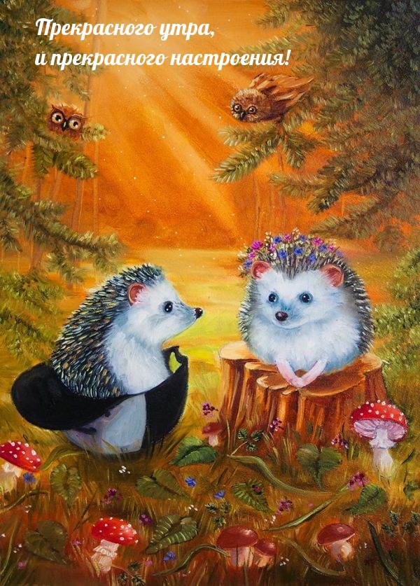 Прекрасного утра, и прекрасного настроения!