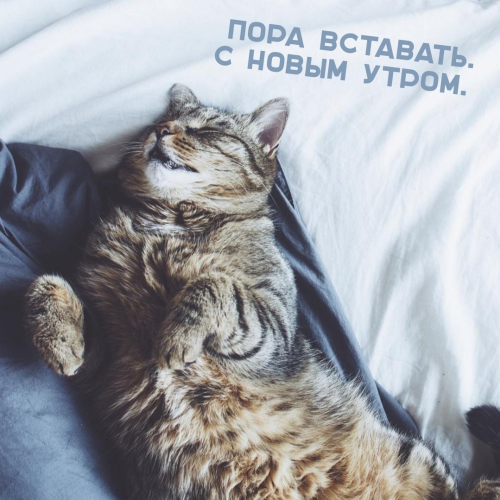 Пора вставать. С новым утром.