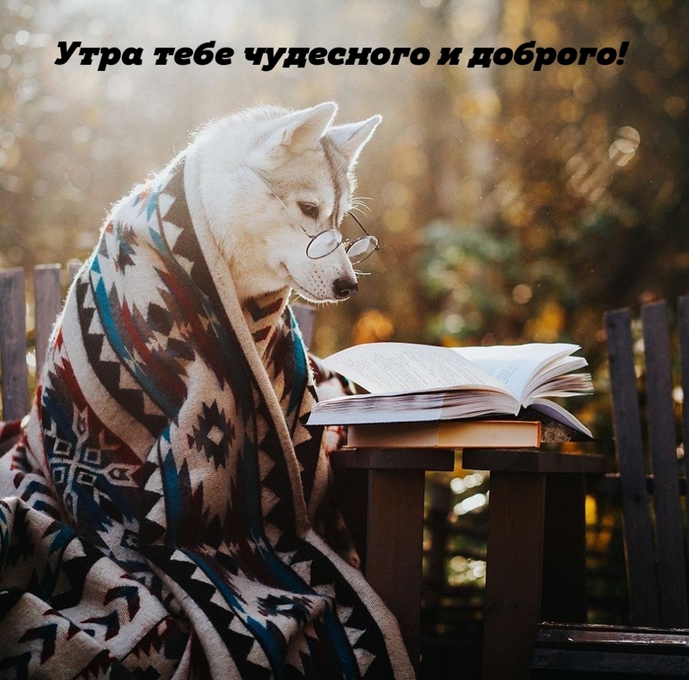 Утра тебе чудесного и доброго!