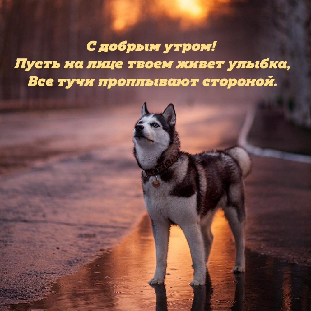 С добрым утром! Пусть на лице твоем живет улыбка