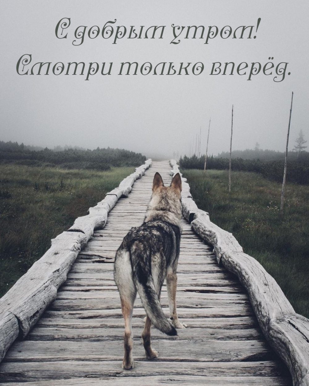 С добрым утром! Смотри только вперёд.