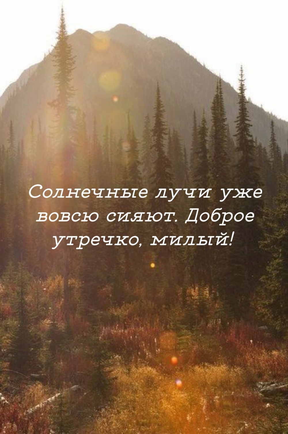 Солнечные лучи уже вовсю сияют. Доброе утречко, милый!