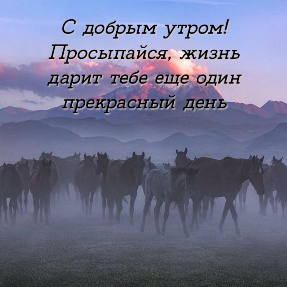 С добрым утром!